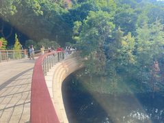 -云溪植物园