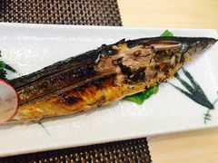 -樱の千渡日式料理·铁板烧•烧鸟(金盛田广场店)