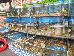水产区-蟹谢蒸鲜自助餐厅