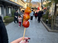 -雅达·阳羡溪山小镇中心