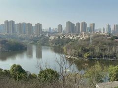 -重庆彩云湖湿地公园