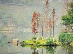 -重庆彩云湖湿地公园