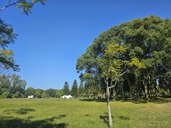 -福建鲤鱼洲酒店