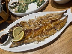 青花鱼-向阳庄烧烤店(望京西园店)