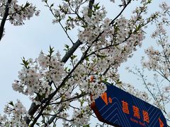 -菊园百果园