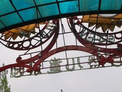 -西部长青自然儿童乐园