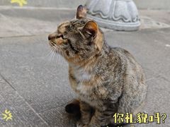 -杭州上天竺法喜讲寺