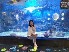 -烟台海昌鲸鲨海洋公园