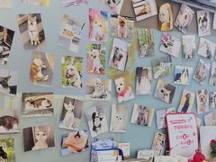 -爱妮康宠物医院·干细胞免疫细胞·肿瘤·心脏(张江店)