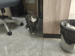 -半岛宠物医院24小时(白果林店)