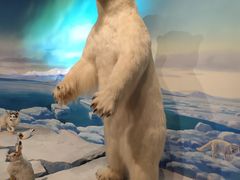 -陕西自然博物馆