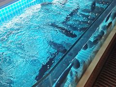 -简小舍· 民间手艺菜(古德寺店)