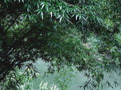 -阿哈湖国家湿地公园