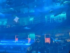 -迪拜水族馆及水下动物园