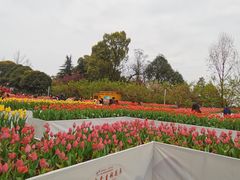 -南山植物园