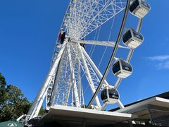 -布里斯班南岸公园