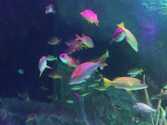 -沈阳海洋探索中心