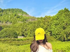 -四门塔风景区