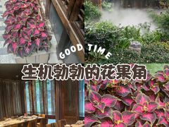 -大妙火锅·非物质文化遗产(东湖公园店)