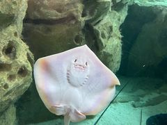 -珠海长隆海洋王国