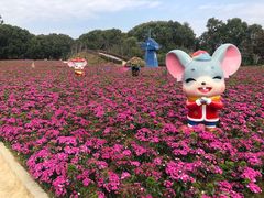-广州市流溪河国家森林公园