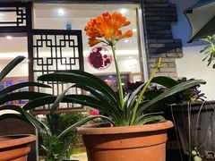 -大院河·仙鱼莊(九眼桥店)