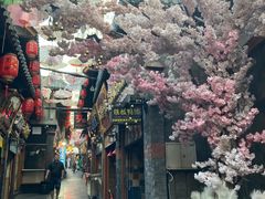 -歹街(金成店)