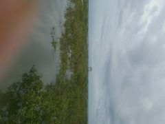 android_upload_pic-北海金海湾红树林生态旅游区