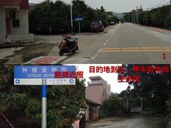 -从化深英荔枝黄皮龙眼采摘园