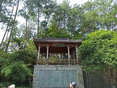 -千岛湖东南湖区