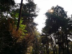 -天治宣·野椒鸡(龙头寺总店)