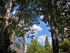 -南京航空航天大学(明故宫校区)