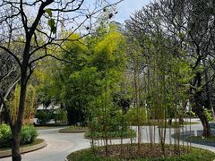 -晓港公园