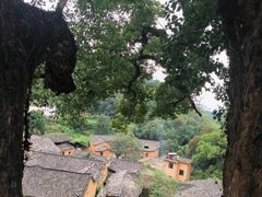 -杨家堂村