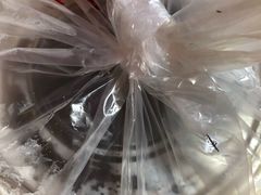 -鹅村长(江中店)