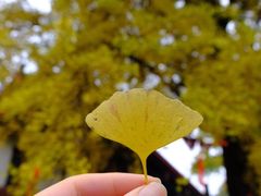 -金堂县云顶石城风景区