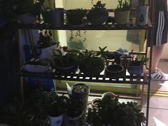 -白日梦奶茶