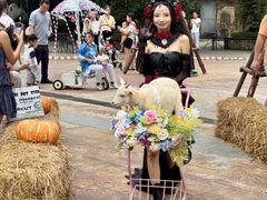 -灵玲国际马戏城