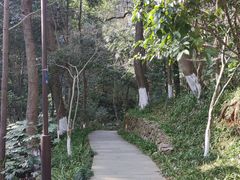 -杭州半山国家森林公园