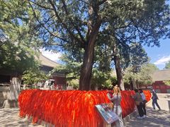 -红螺寺