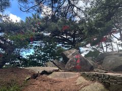 -罗田薄刀峰风景区