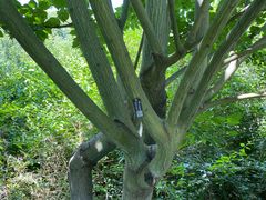 -国家植物园南园