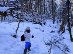 -雪谷