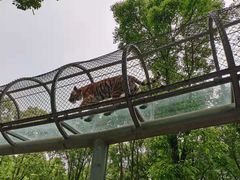-宁波野生动物园