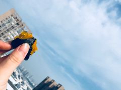 -可莎蜜儿(金沙学府店)