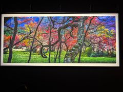 -罗红摄影艺术馆