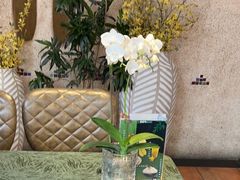 -翡翠鸟精品泰国菜(北辰财富中心店)