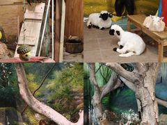-正佳雨林生态植物园