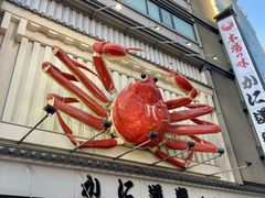 -蟹道乐(道顿堀本店)
