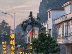 -银峰农庄·特色烧鸡·鲜无花果浸鸡